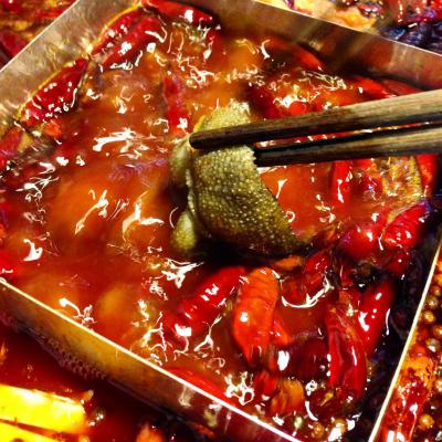 成都火鍋培訓(xùn)多少錢？ 成都火鍋培訓(xùn)多少錢？